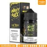 ناستي فات بوي