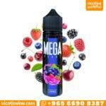 Mega Berry