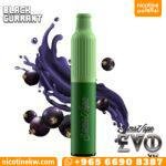 ايفو بلاك كرنت