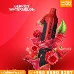 بف مي رقي مع توت