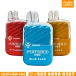 بانثر اكس ميني 1000 سحبة بتركيز 20mg و45mg بنكهات متعددة