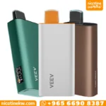 فييف 8000 سحبة VEEV NOW 18ML قابل للشحن USB-C بنكهات متعددة