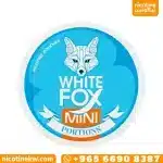White Fox All White Mini Spearmint Nicotine Pouches